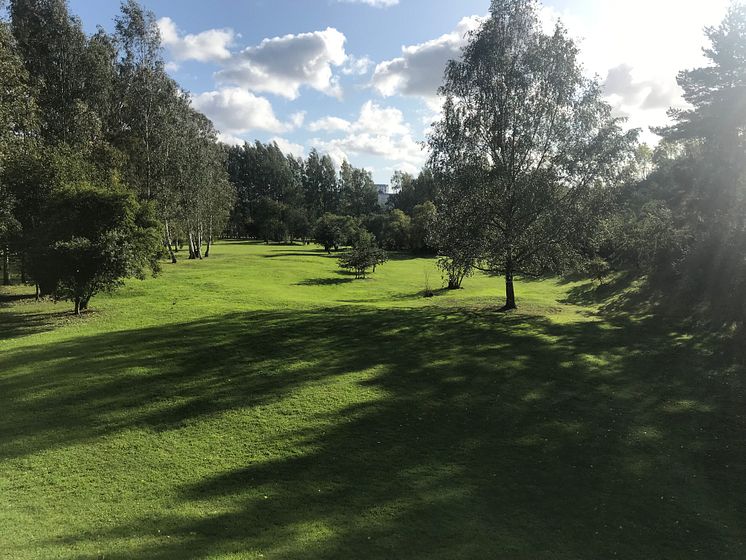 Sommar i Järva DiscGolfPark