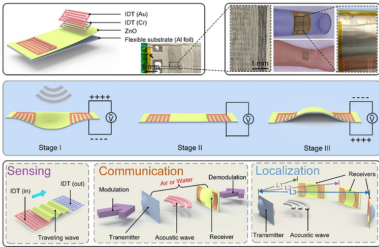 A graphic showing the principles for processes of sensing and communication, acoustic ranging and positioning, using the flexible acoustic wave device