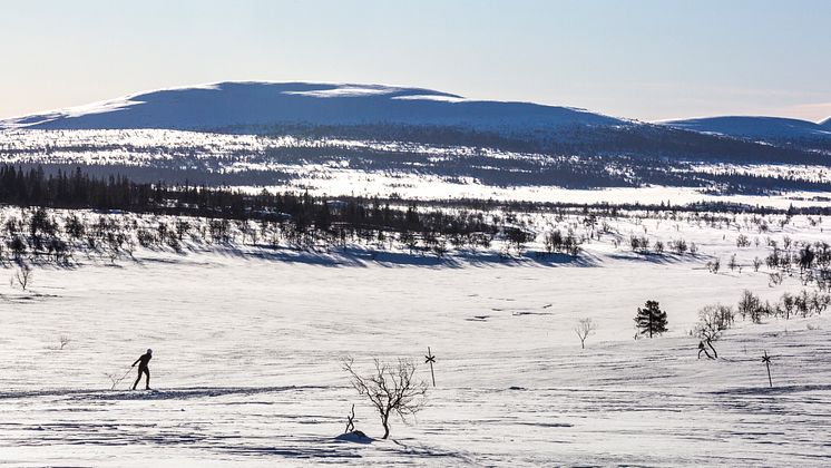 Längdskidåkare på fjället