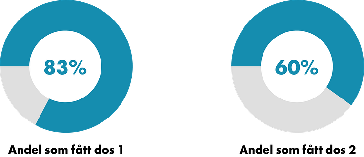 210813_Cirkel andel.png