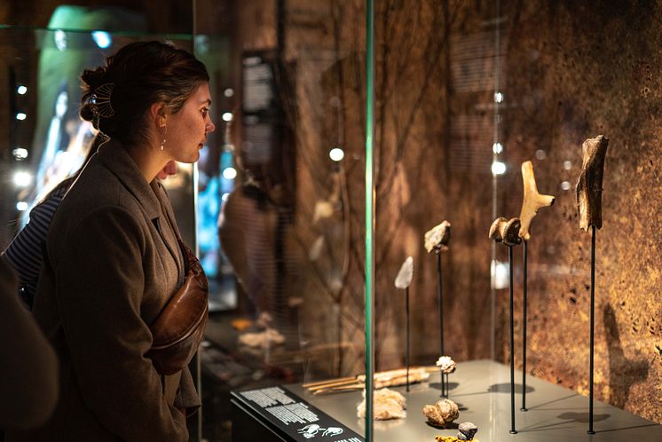 Neandertaler-FrederikWolffTeglhus-StatensNaturhistoriskeMuseum-DSC05225-2