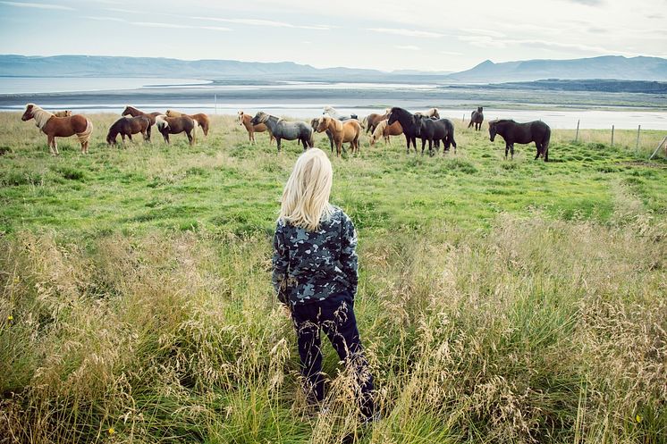DEST_ICELAND_KID_BOY_HORSES_GettyImages-1089432158_Universal_Within usage period_86303.jpg