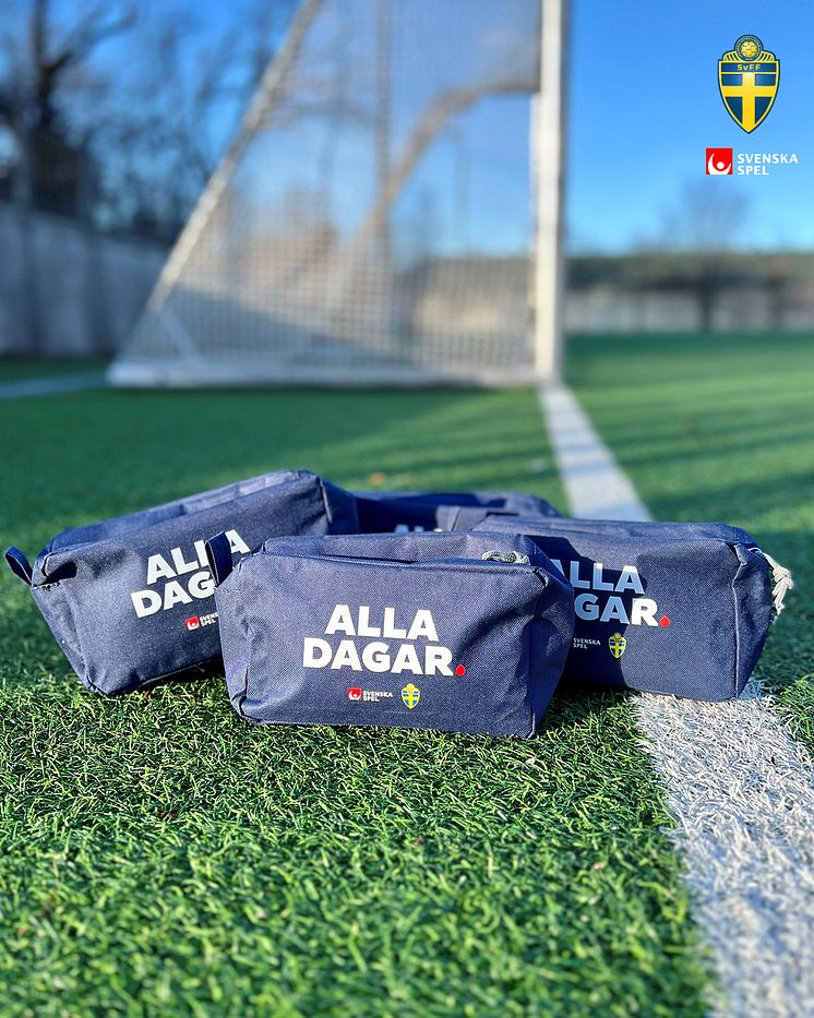 Alla dagar necessärer