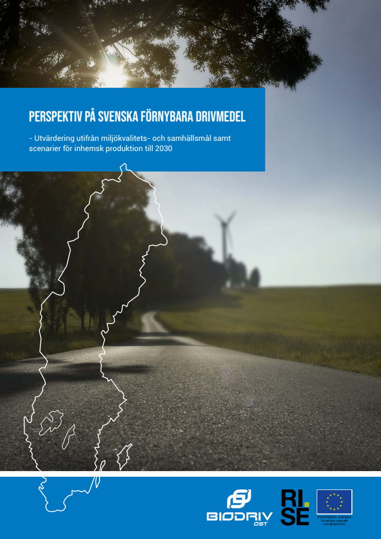 2019_Perspektiv_svenska_fornybara_drivmedel_RAPPORT.pdf