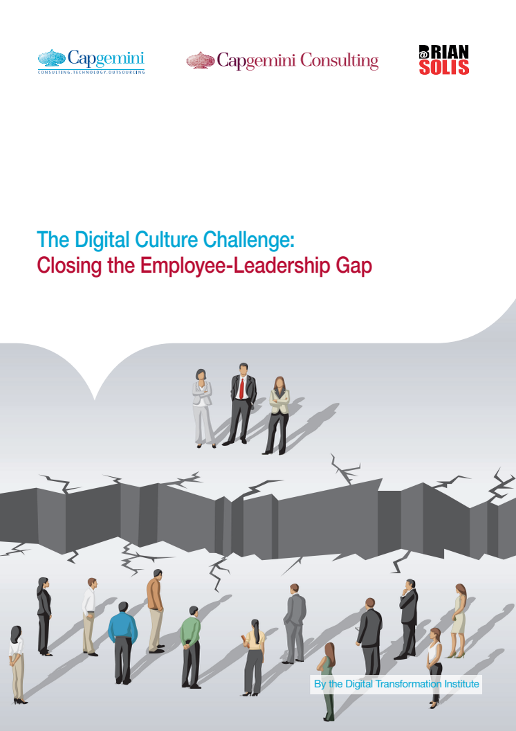 The Digital Culture Challenge Report