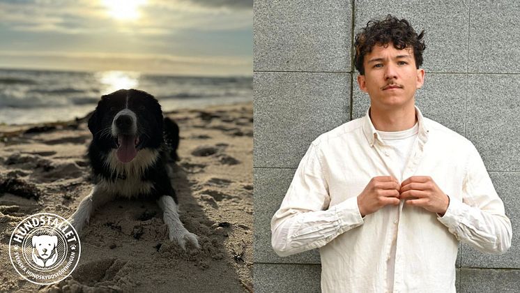 Hunden Panda & Frans