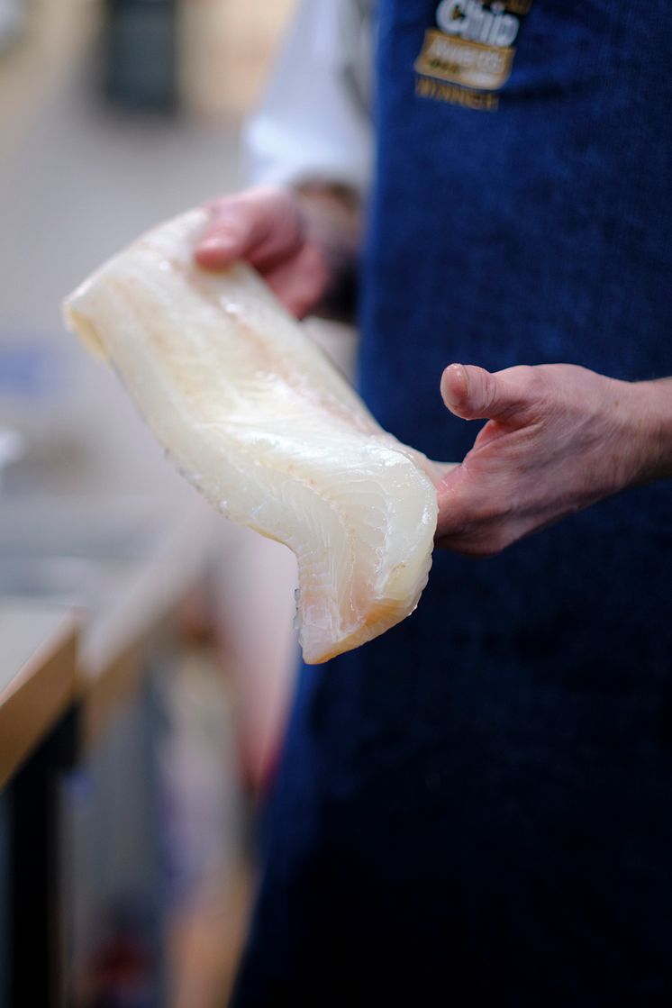Norwegian FAS fillet held by frier