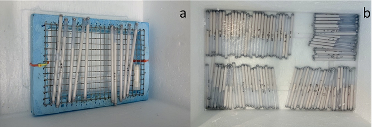 Croypreservation of sperm samples from lumpfish