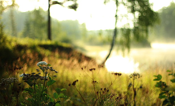 Värmlands Miljö- och klimatdag