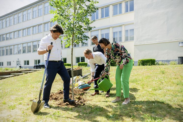 Climate action day tree plant