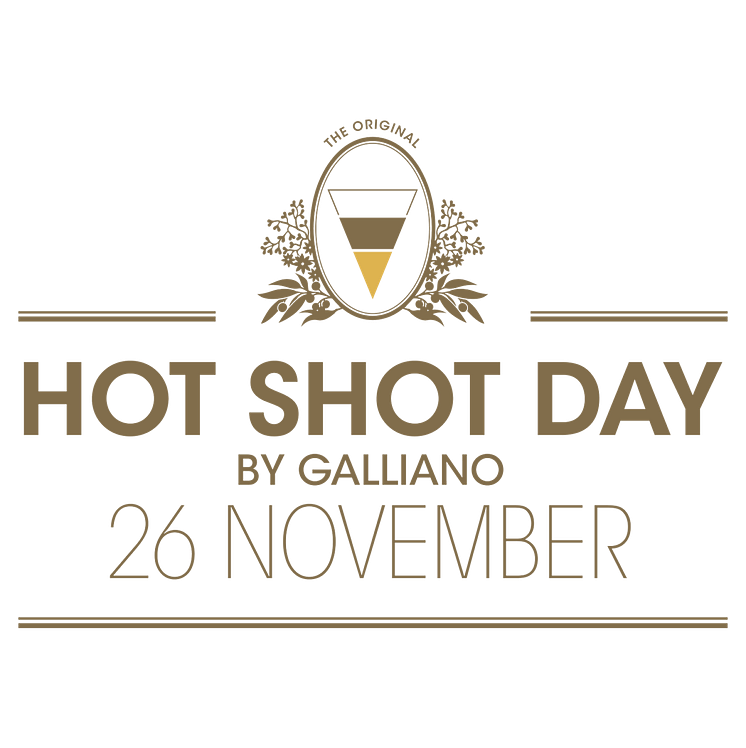 Hot Shot Day Logo.png