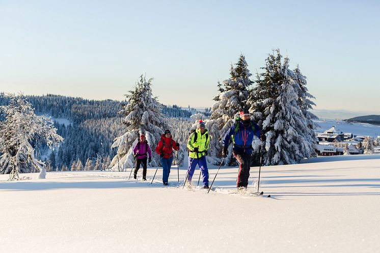 SMQ Snow_Gruppe_Foto_TVE_Studio2Media .jpg