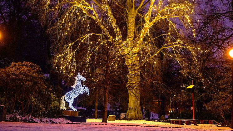Vinterljus_enhörning_DSC_2902_16.9.jpg