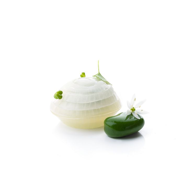 Bocuse-d'Or_2018_Garnityr_SG_Spring-Onion-and-Bean