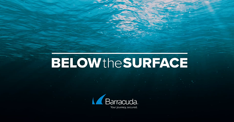 Barracuda, Below the Surface Log4j.png