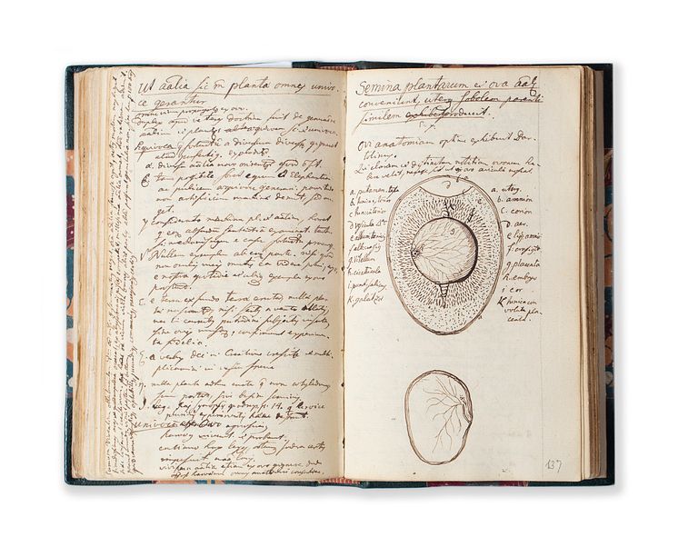 A Linnean Collection - Fundamenta botanica
