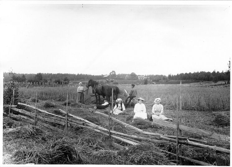 Kokkonst Vingåker