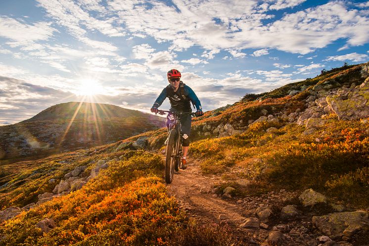 Høsten er best på fjellet