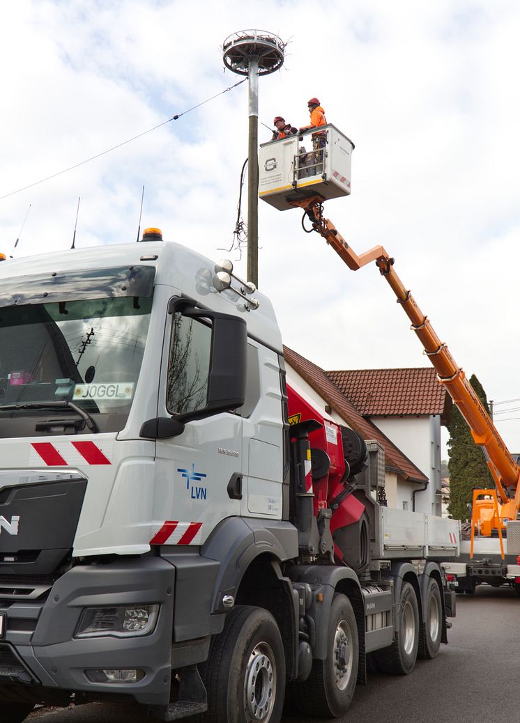 20240222_Sicherung Storchennest Steinekirch Zus