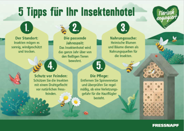 5 Tipps für Ihr Insektenhotel.png