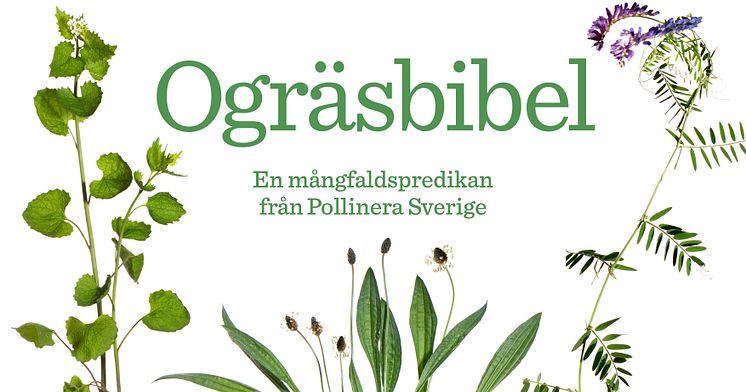 PR-bild Ogräsbibel MND 