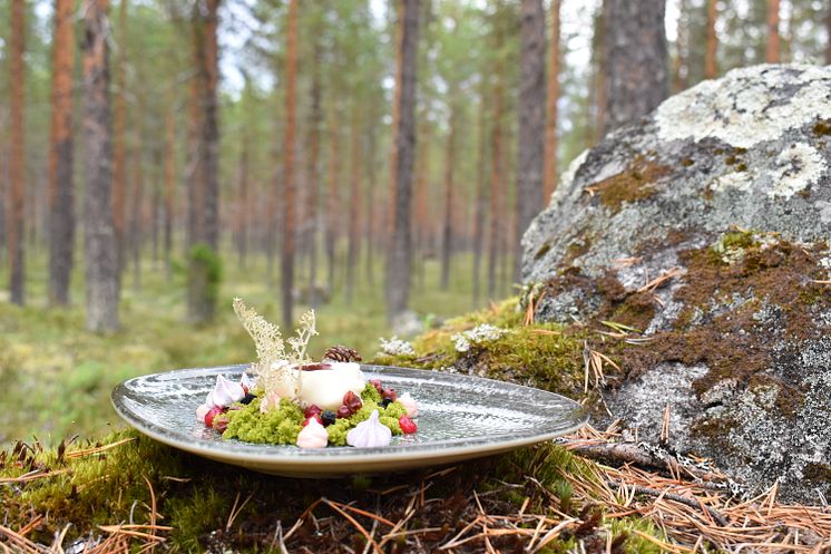 Efterrätten Trollskogen