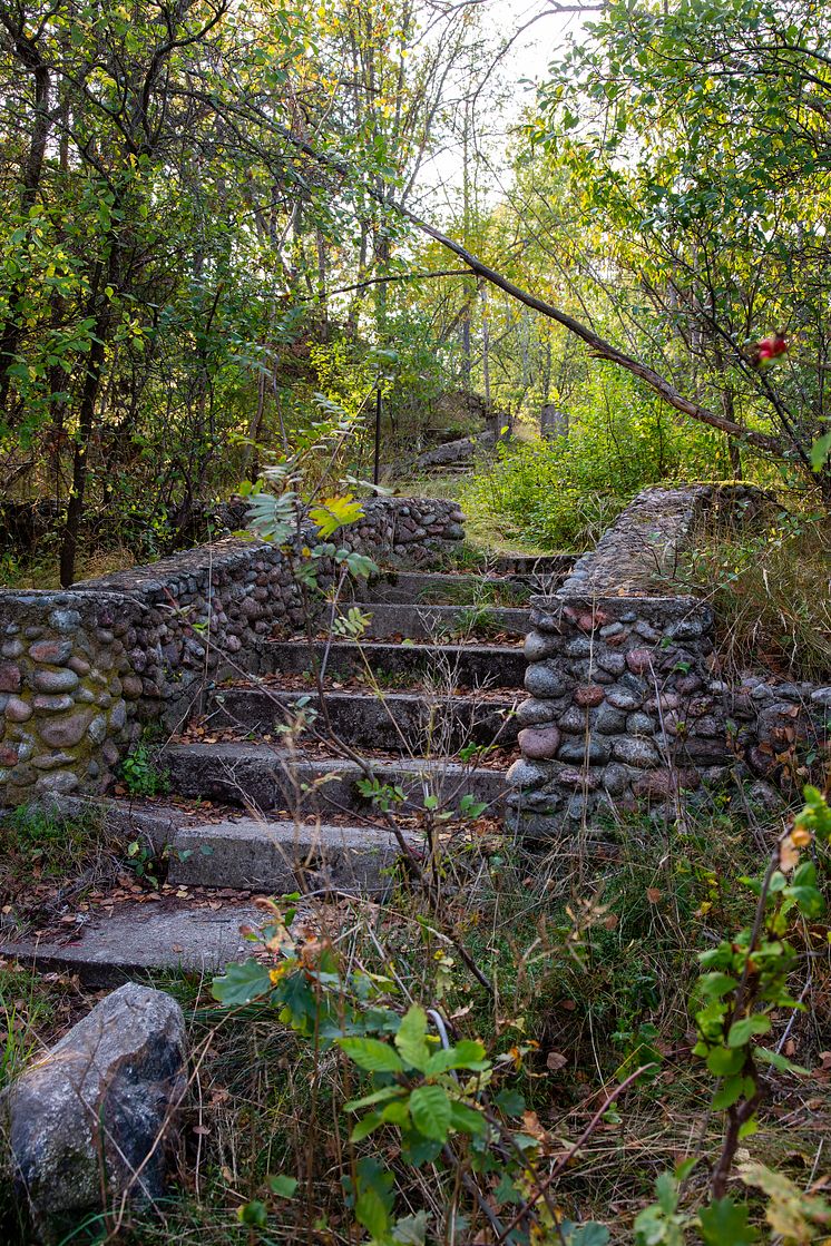 Trappan_i_skogen_foto_Elisabeth_Boogh