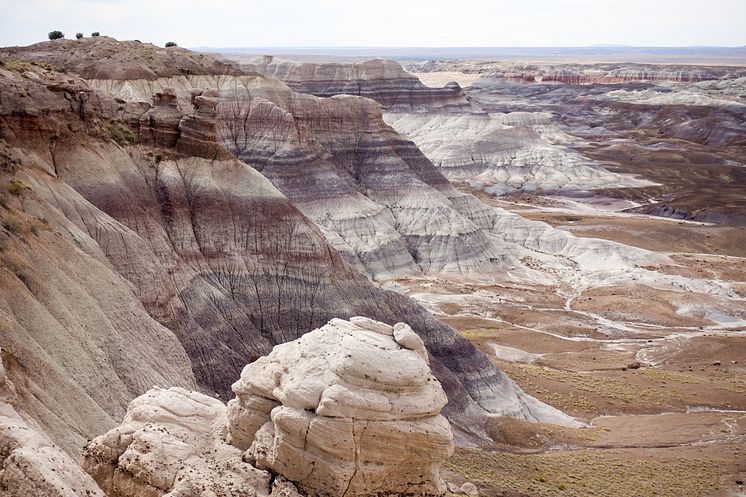 Painted Desert