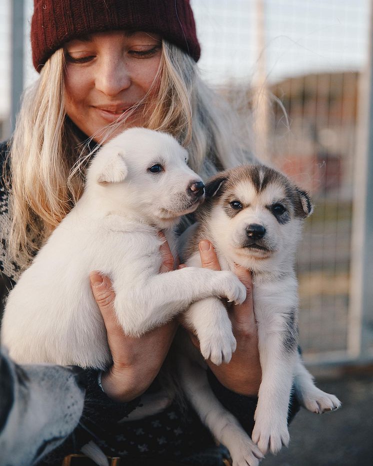 Husky House