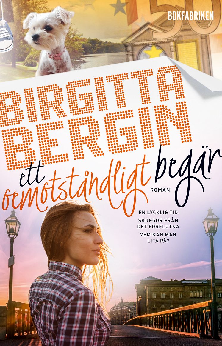 Ett oemotståndligt begär av Birgitta Bergin