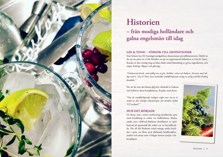 Uppslag ur Gin & Tonic Helt enkelt.pdf