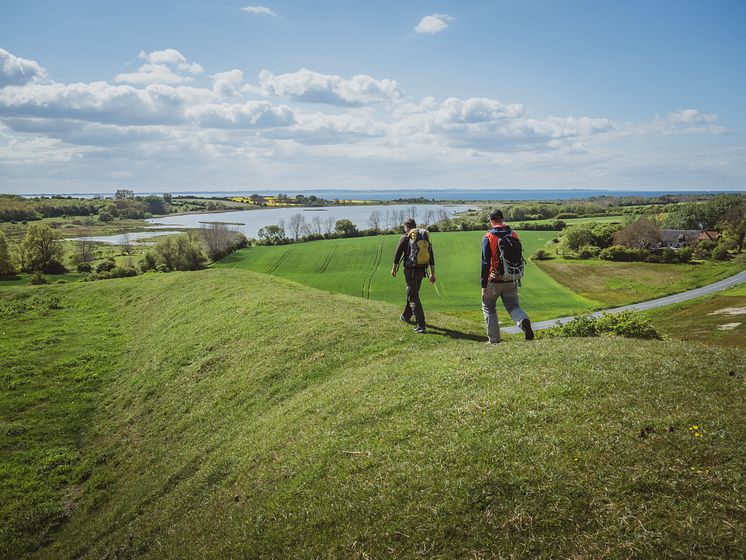Vandring på Søby Volde med udsigt til Vitsø @Daniel Villadsen (1)
