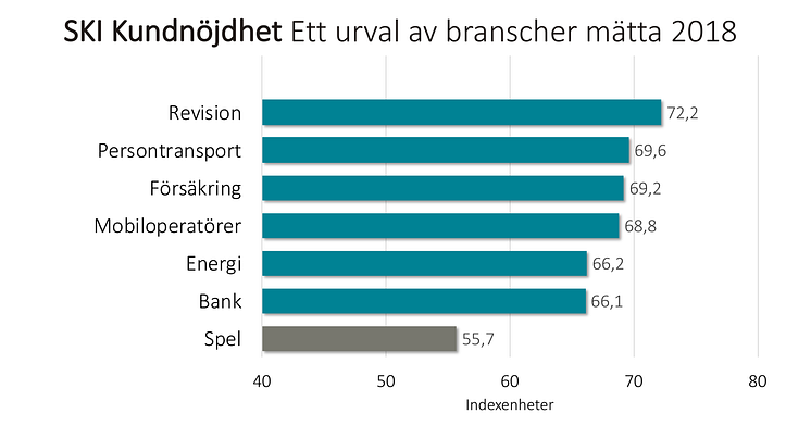 SKI ett urval branscher 2018