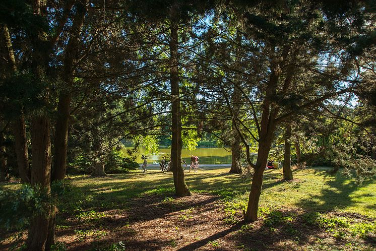 Slottsparken - ett smultronställe i Malmö