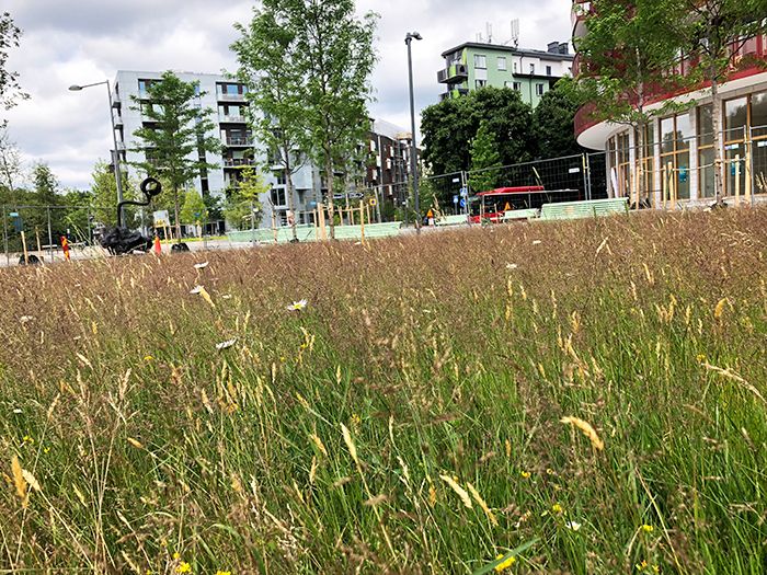 180714 - Ängsbruksgatan_stadsäng