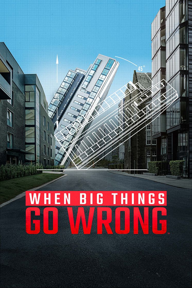 When_Big_Things_Go_Wrong_HISTORY_2400x3600_FIN