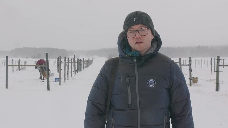 Dille Gård föreslås bli ny ägare av Berga Naturbruksgymnasium