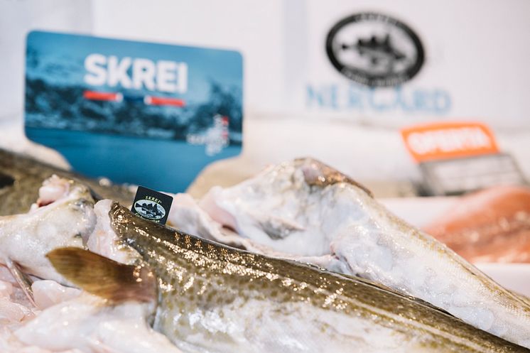 Skrei.jpg