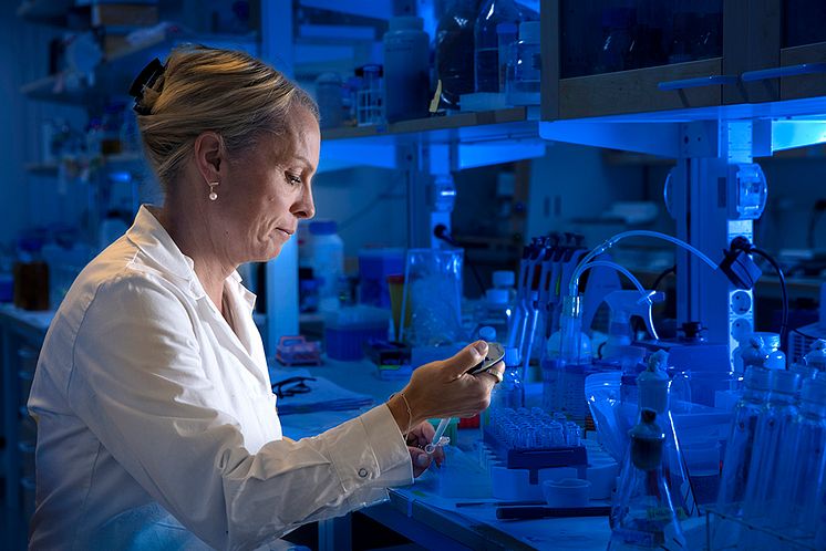 Ulrika Rova, professor i biokemisk processteknik vid Luleå tekniska universitet