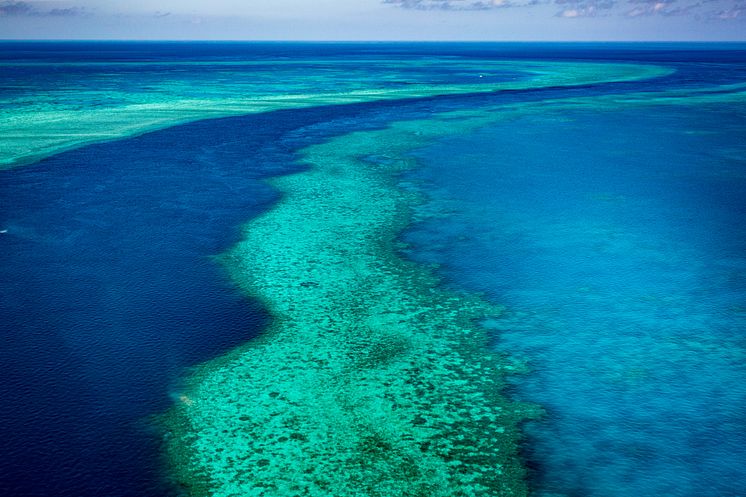 Great Barrier Reef - Stora barriärrevet