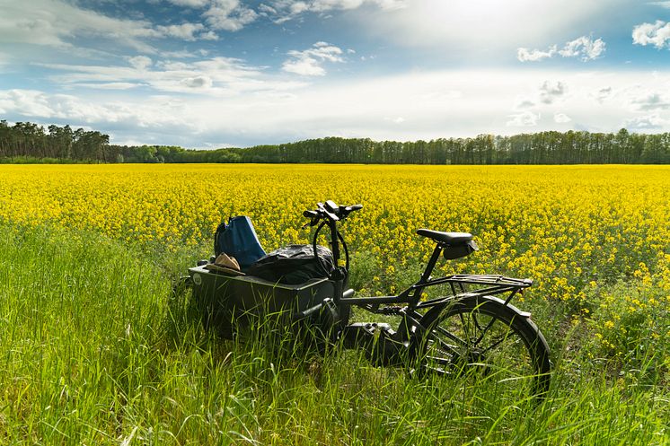 E-Cargobike in Landschaft