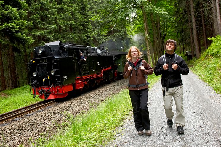 Unmittelbar am Kammweg- die dampfenden Rösser der Preßnitztal- & Fichtelbergbahn