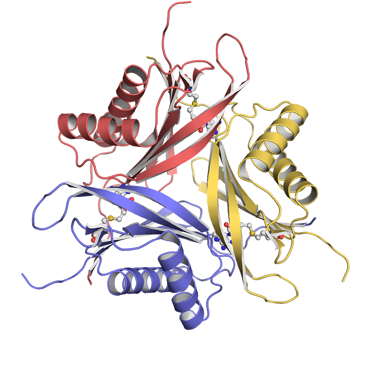 Det SAM-klyvande enzymet Svi3-3.