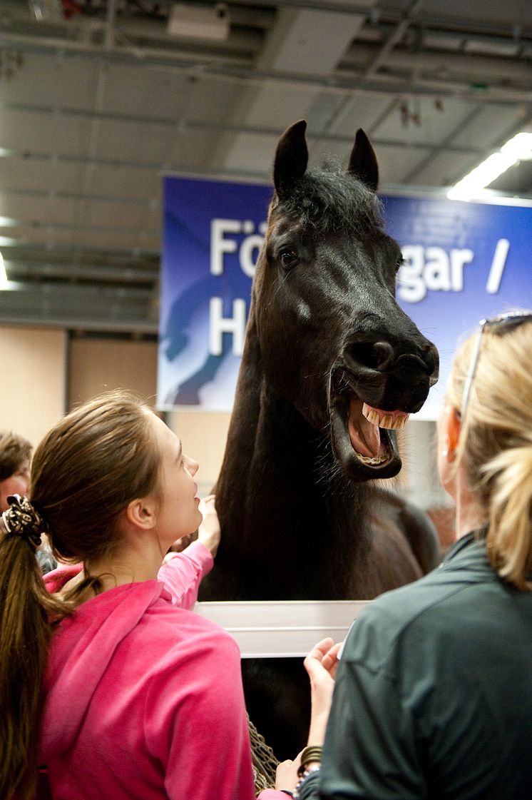 EuroHorse 2013