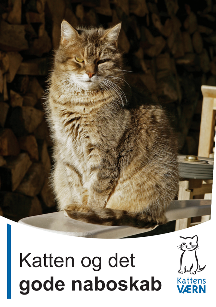 Katten og det gode naboskab