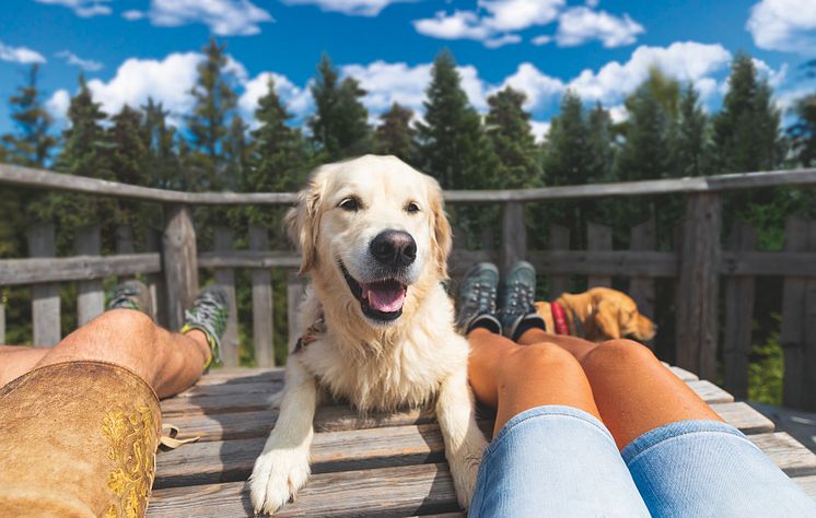 Bild 1_Fressnapf_Wanderpause mit Hund Pärchen_300dpi_cmyk.jpg