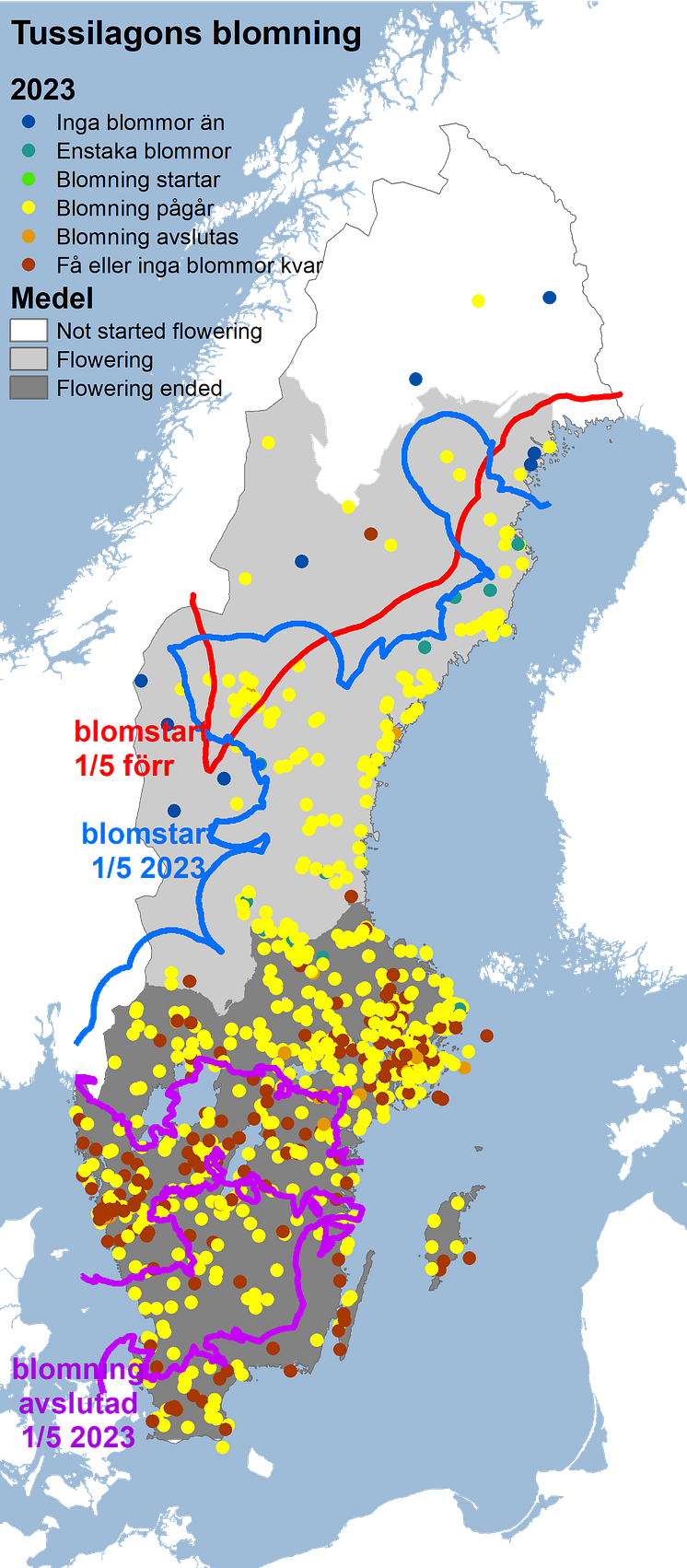 tussilago2023