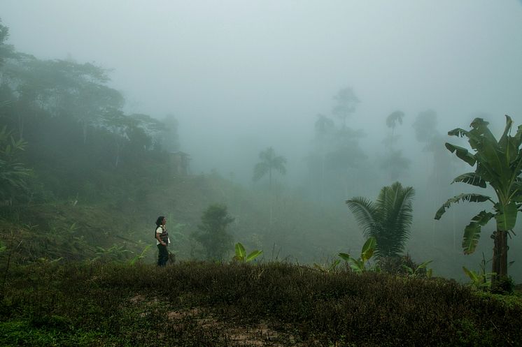 Fotocredit_UNDP_Peru