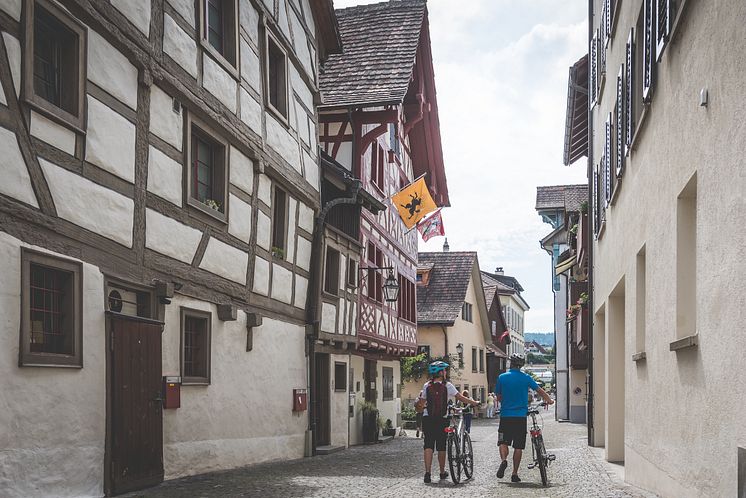 Top Cycling Tour "Rhein" (Stein am Rhein)