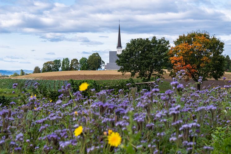 Alm Gård